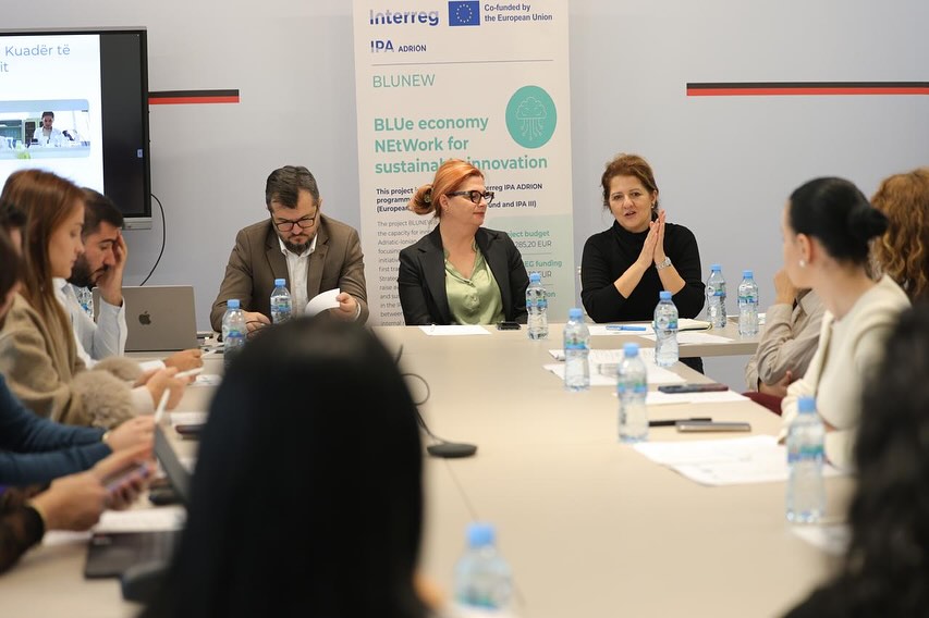 Agjencia Kombëtare e Rinisë, pjesë e aktivitetit që mblodhi bashkë akademinë, shoqërinë civile, (2)