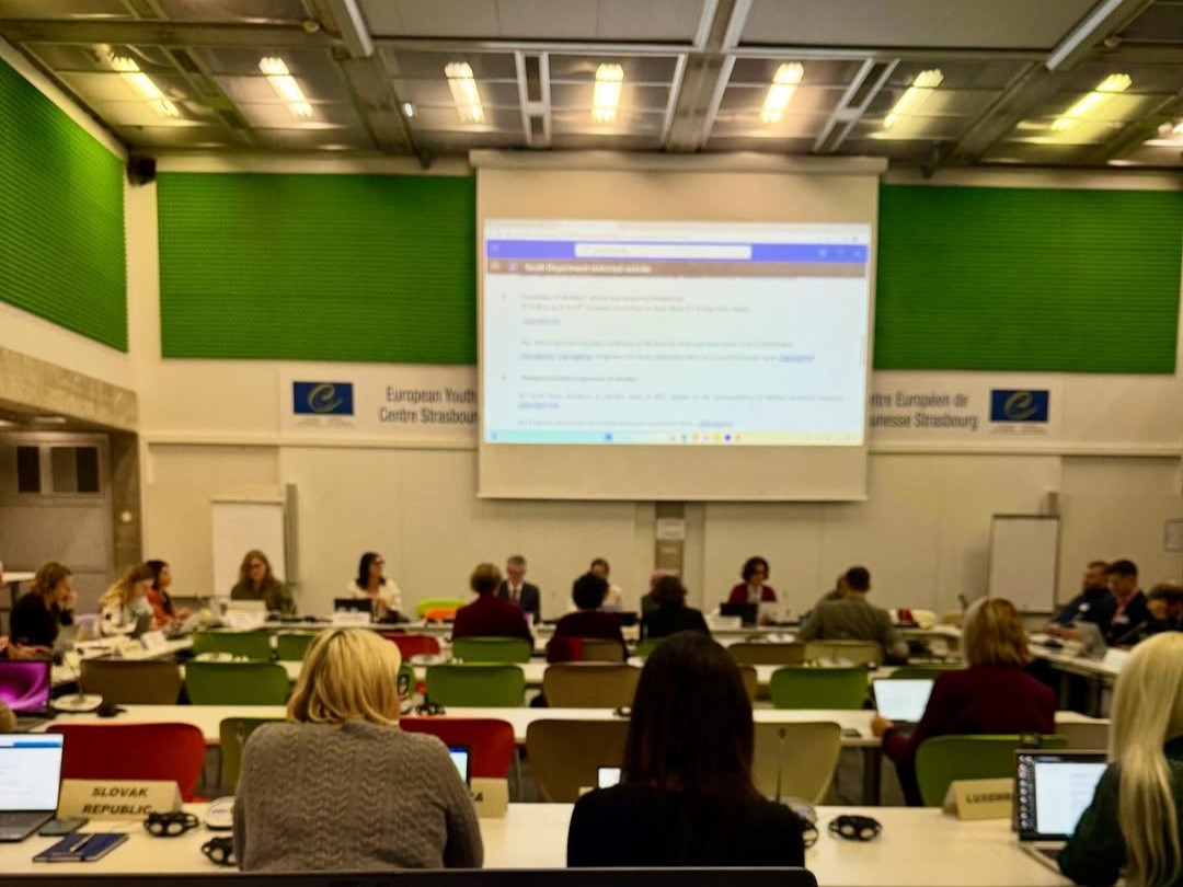 Në Strasburg për takimin e CDEJ, ku të rinjtë, politikat dhe vizionet e përbashkëta marrin formë (1)