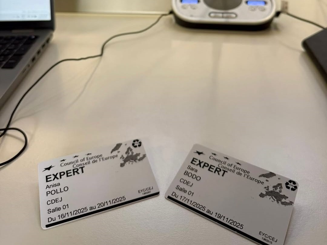 Në Strasburg për takimin e CDEJ, ku të rinjtë, politikat dhe vizionet e përbashkëta marrin formë (2)