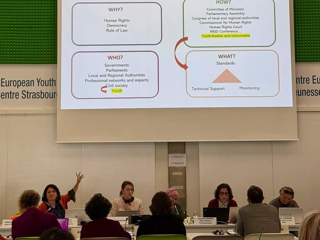 Në Strasburg për takimin e CDEJ, ku të rinjtë, politikat dhe vizionet e përbashkëta marrin formë (3)