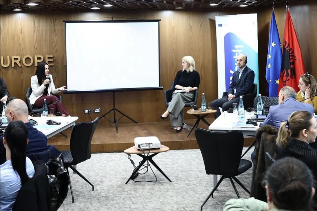 Në kuadër të pilotimit të Garancisë Rinore, Agjencia Kombëtare e Rinisë mori pjesë në workshopin (10)