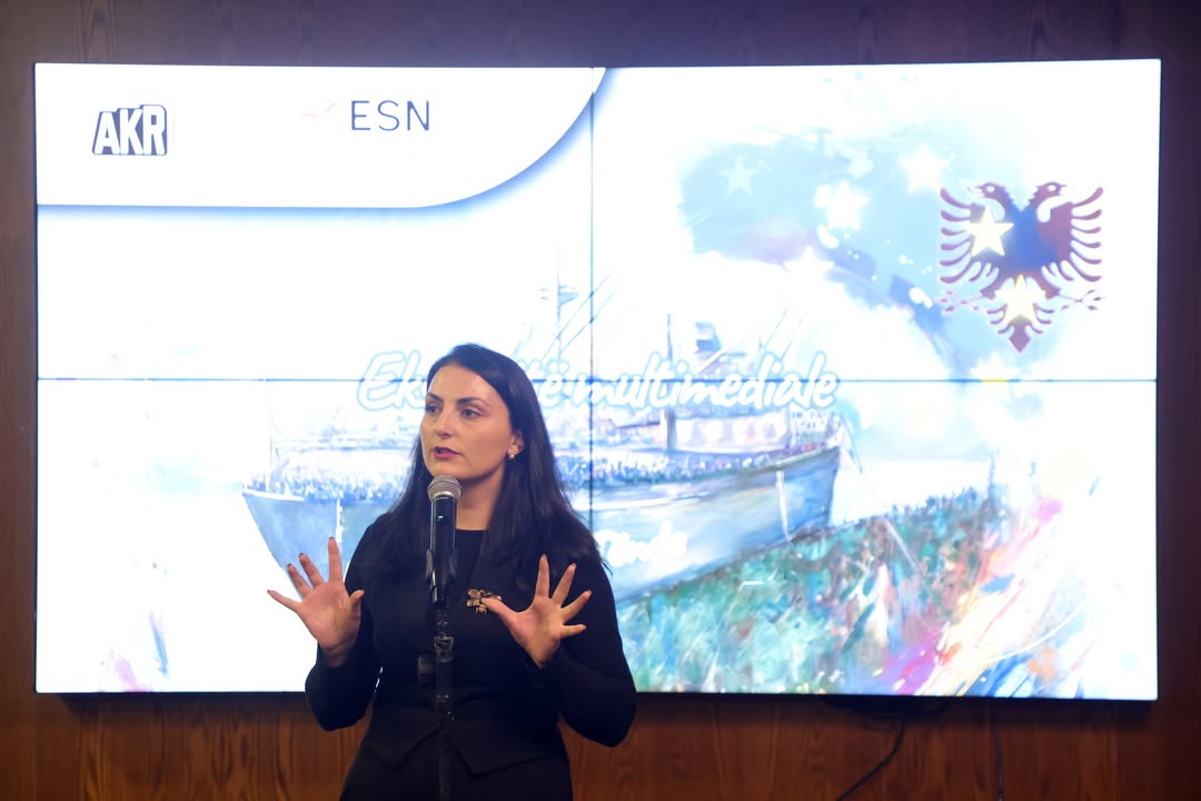 Ekspozita multimediale “Krijo Evropën Tënde” u mbyll me shumë energji, kreativitet dhe reflektim (2)